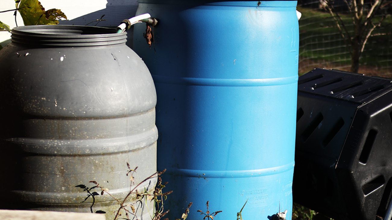 two ugly rain barrels (blue and grey) for catching roof water for the garden and a rotating composter (black) off to one side